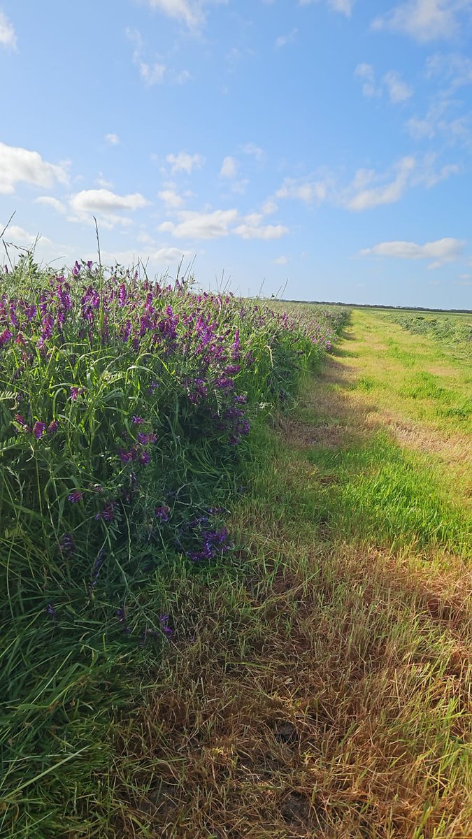 Tom Carmody tweet media