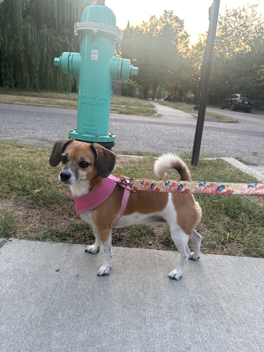 Maci wishes you a happy Sunday 💕