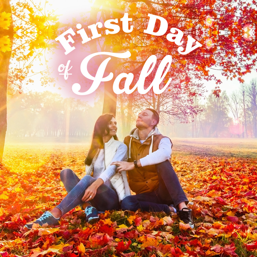 milleniummech's tweet image. Leaves falling, Autumn is calling 🍁 #Fall