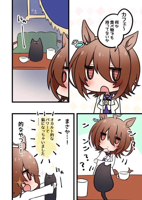 タキカフェと猫の話 1/3 