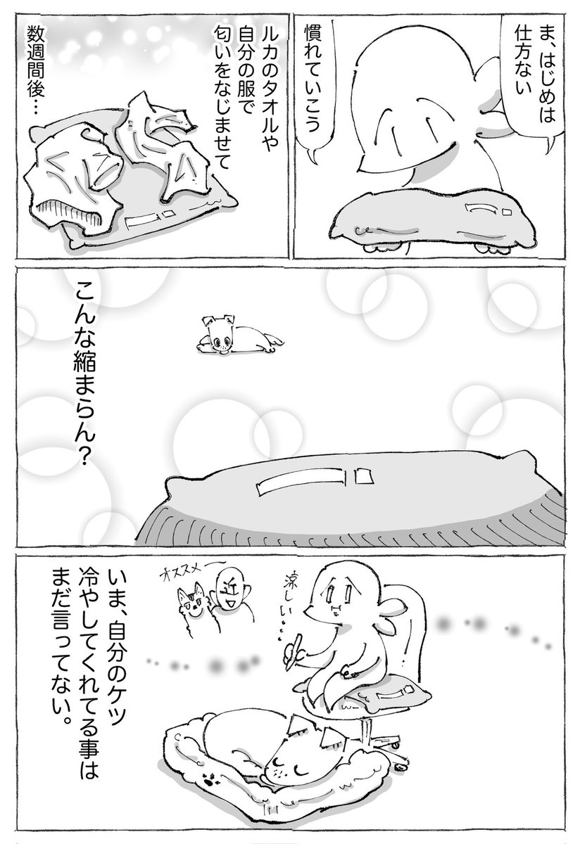 【2/3】 
