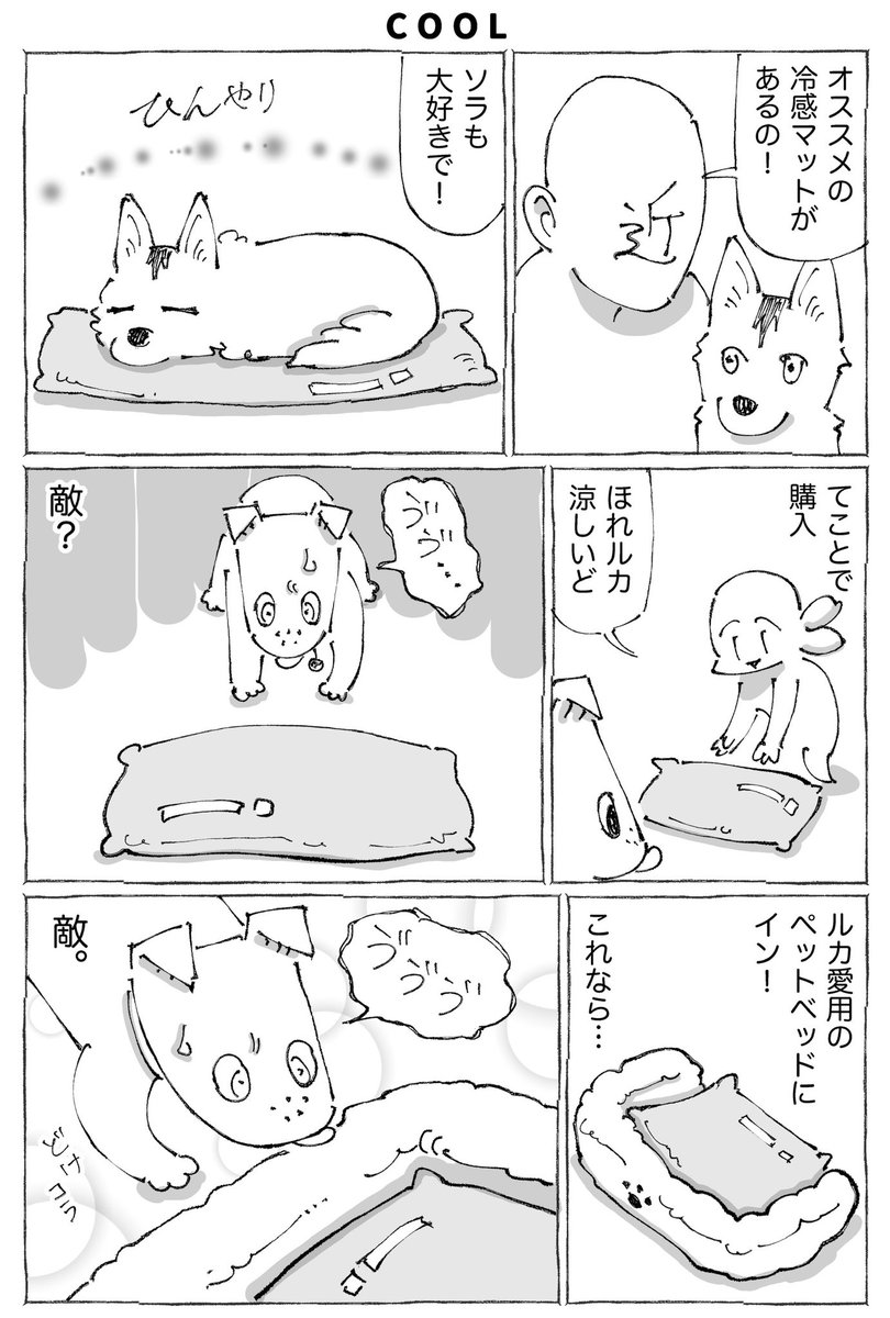 【2/3】 