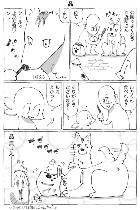 うちの犬のルカ。12【1/3】 
