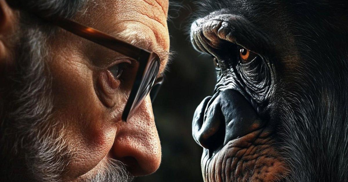 muyinteresante's tweet photo. Exploramos el legado de Leakey y la conexión evolutiva entre humanos y grandes simios: más cerca de lo que creemos. https://t.co/eJEcB2UI9V https://t.co/q1qmzKOe4J
