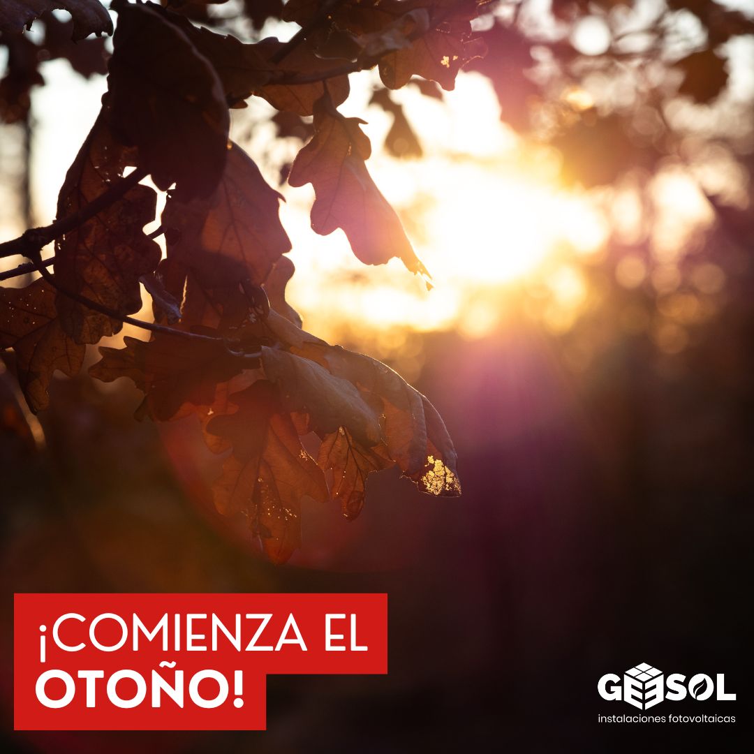 GeesolRenovable's tweet photo. 🍂 ¡Comienza el otoño! 🍁 
Aunque los días son más cortos, la energía solar sigue siendo una gran aliada. En esta temporada, disfrutamos alrededor de 10 horas de luz solar diaria en muchas áreas. 
¡Aprovecha al máximo el sol este otoño!
 #EnergíaSolar #OtoñoSostenible https://t.co/vYR4mLE1Sh