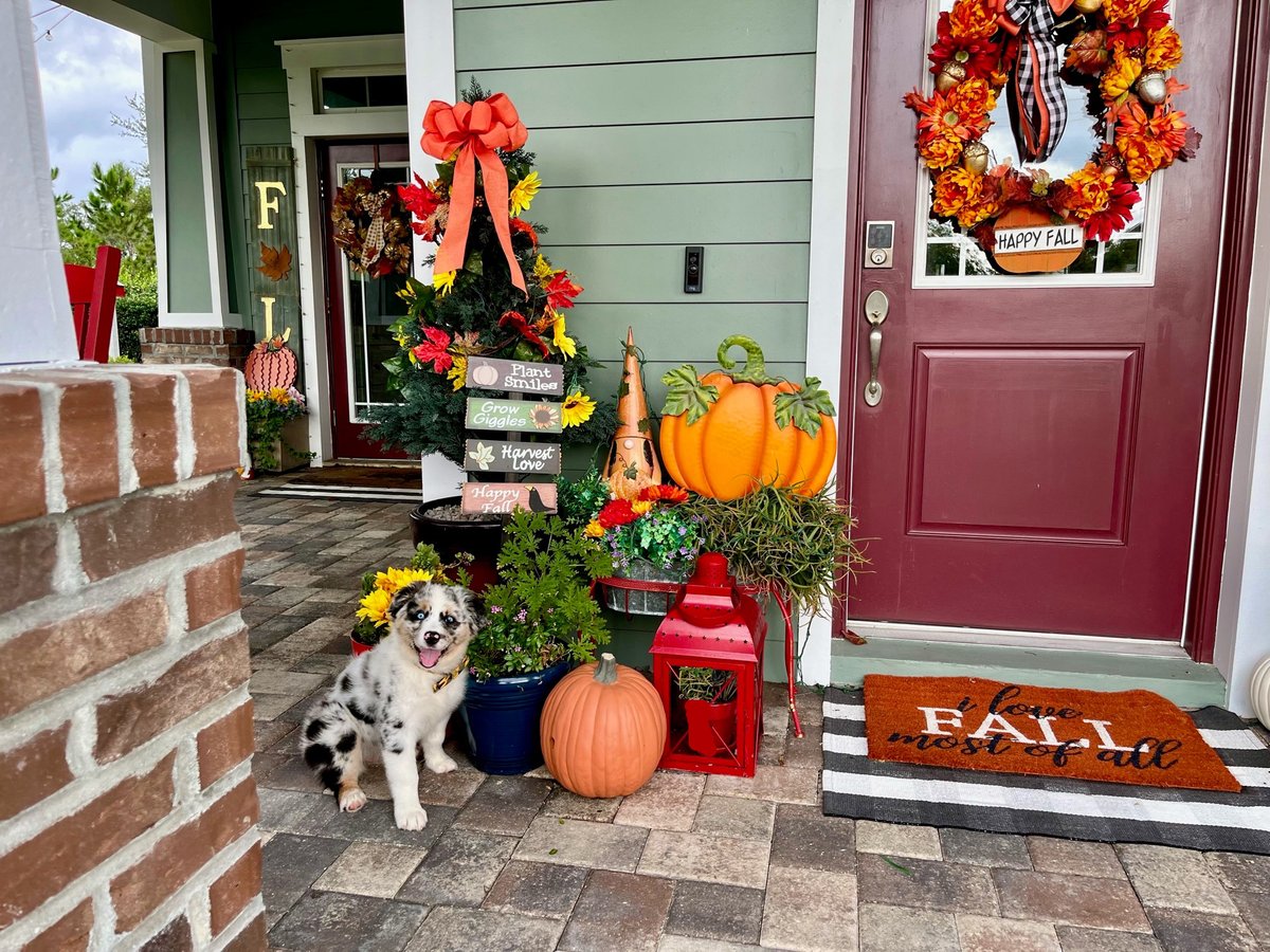DavidWeekley's tweet photo. Happy First Day of Fall!
#livingweekley #realestate #dreamhome https://t.co/ItglfVnYPx