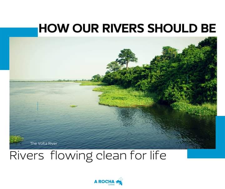 arochaghana's tweet photo. It's #WorldRiversDay but not a happy one for us.
The government must take immediate and decisive action to halt all forms of mining in our rivers, streams, and the forests that protect our water sources.
#StopGalamseyNow https://t.co/QdvSwSlLdJ