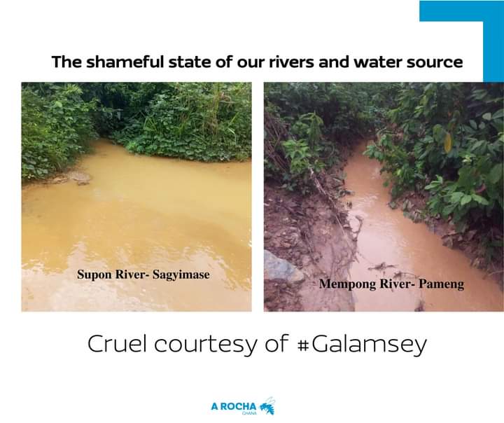 arochaghana's tweet photo. It's #WorldRiversDay but not a happy one for us.
The government must take immediate and decisive action to halt all forms of mining in our rivers, streams, and the forests that protect our water sources.
#StopGalamseyNow https://t.co/QdvSwSlLdJ
