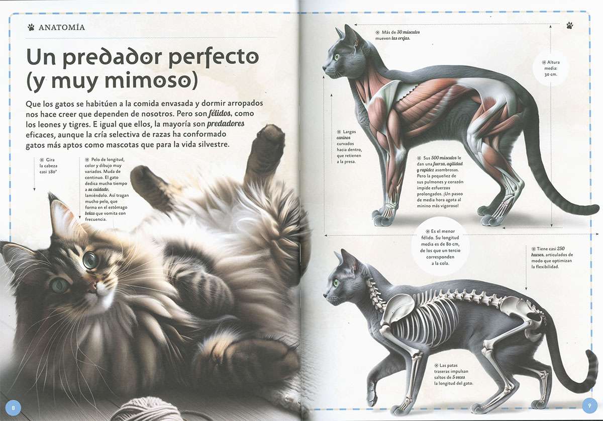 martyuls's tweet photo. Os presento a la gran Pippa Boom. La última estratagema editorial para que no te cancelen por usar lA 😂 

Se inventan el nombre de un ilustrador/a imaginario/a y a tirar millas... No busquéis trabajos suyos porque no los encontraréis. De verdad, que no se puede ser más patéticos https://t.co/bnE6AH7iq5