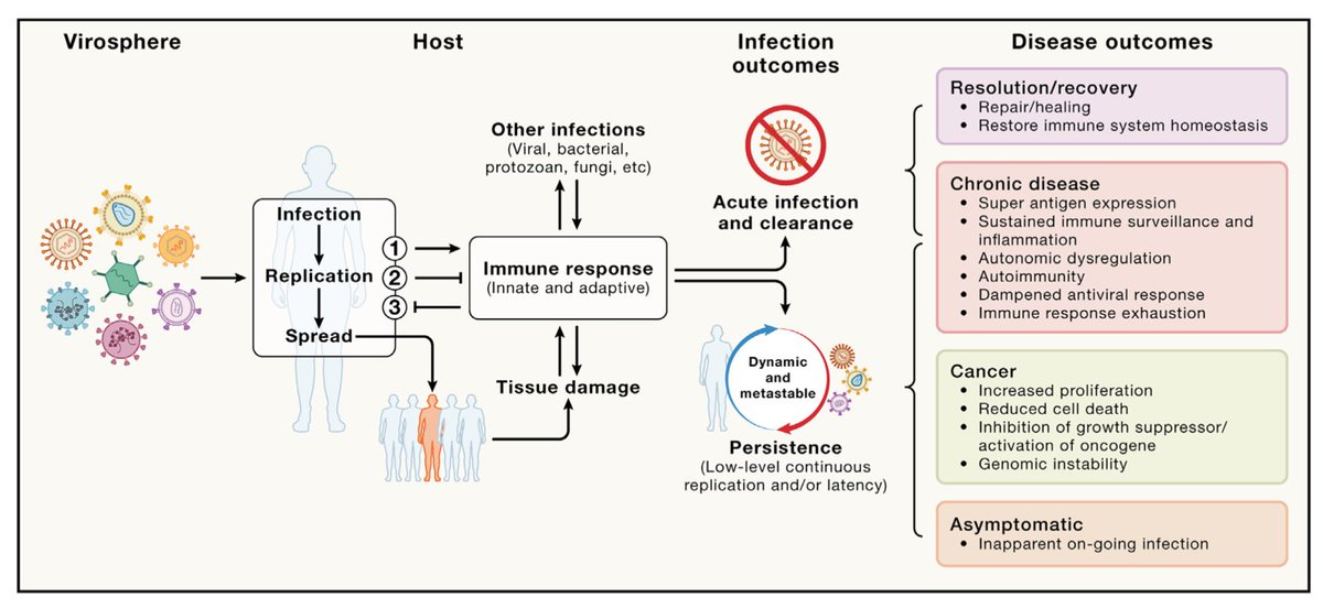Virus_Immunity's tweet photo. Virology
The next fifty years
@CellCellPress 
https://t.co/hDH7L7vqGR https://t.co/AqSRMl42kE