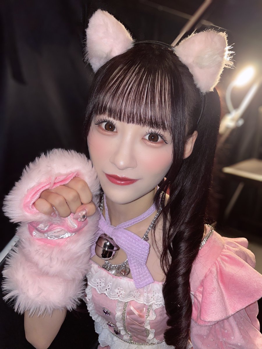 かまってにゃん🐈