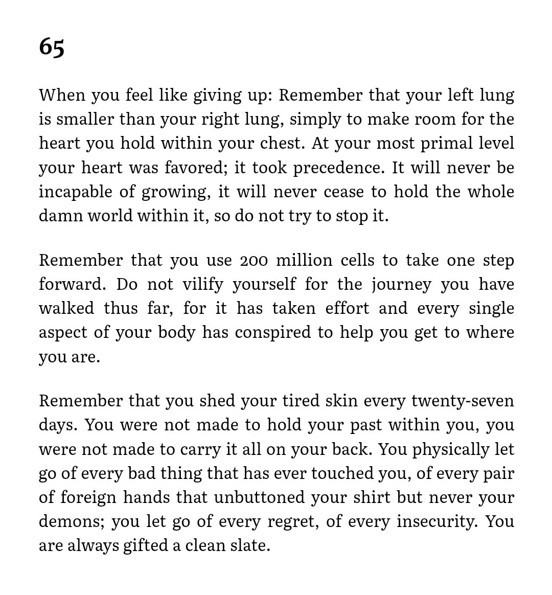 fatepdf's tweet image. 