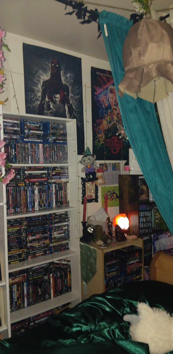 lana_drop's tweet photo. I am so excited.I got a new shelf today, finally. I spend all day rearranging. And now I have enough space for all my horror movies.And this is just one shelf of #horror. Now, to get some horror shelf ornaments. #HorrorCommunity #HorrorFamily #horrormoviecollection #Horrorfam ๐ด https://t.co/tNte8fFHeo