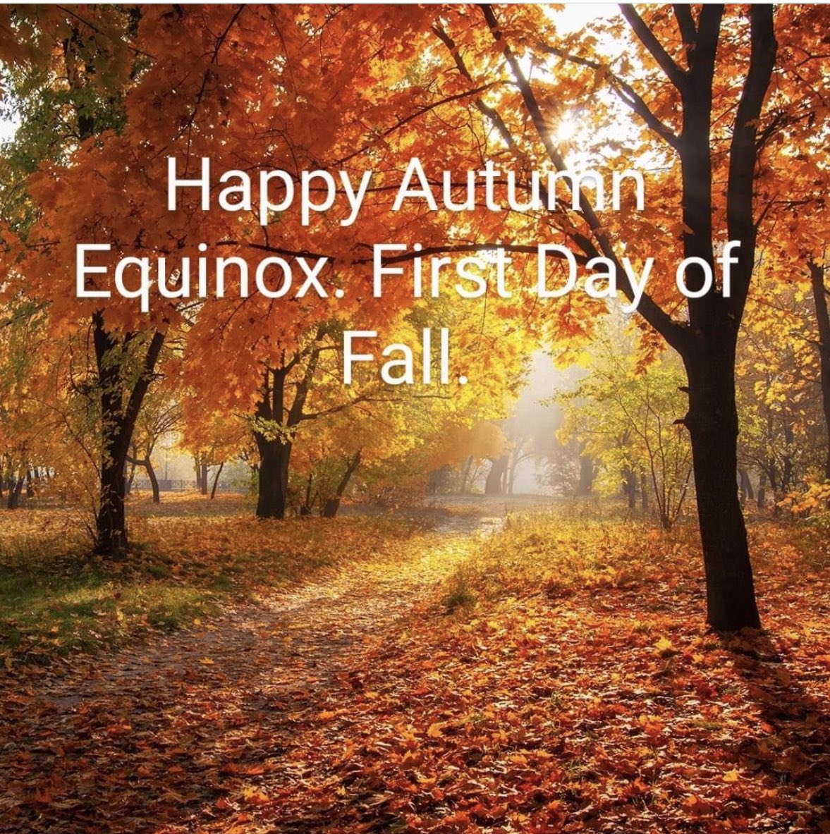 Happy first day of fall y’all!