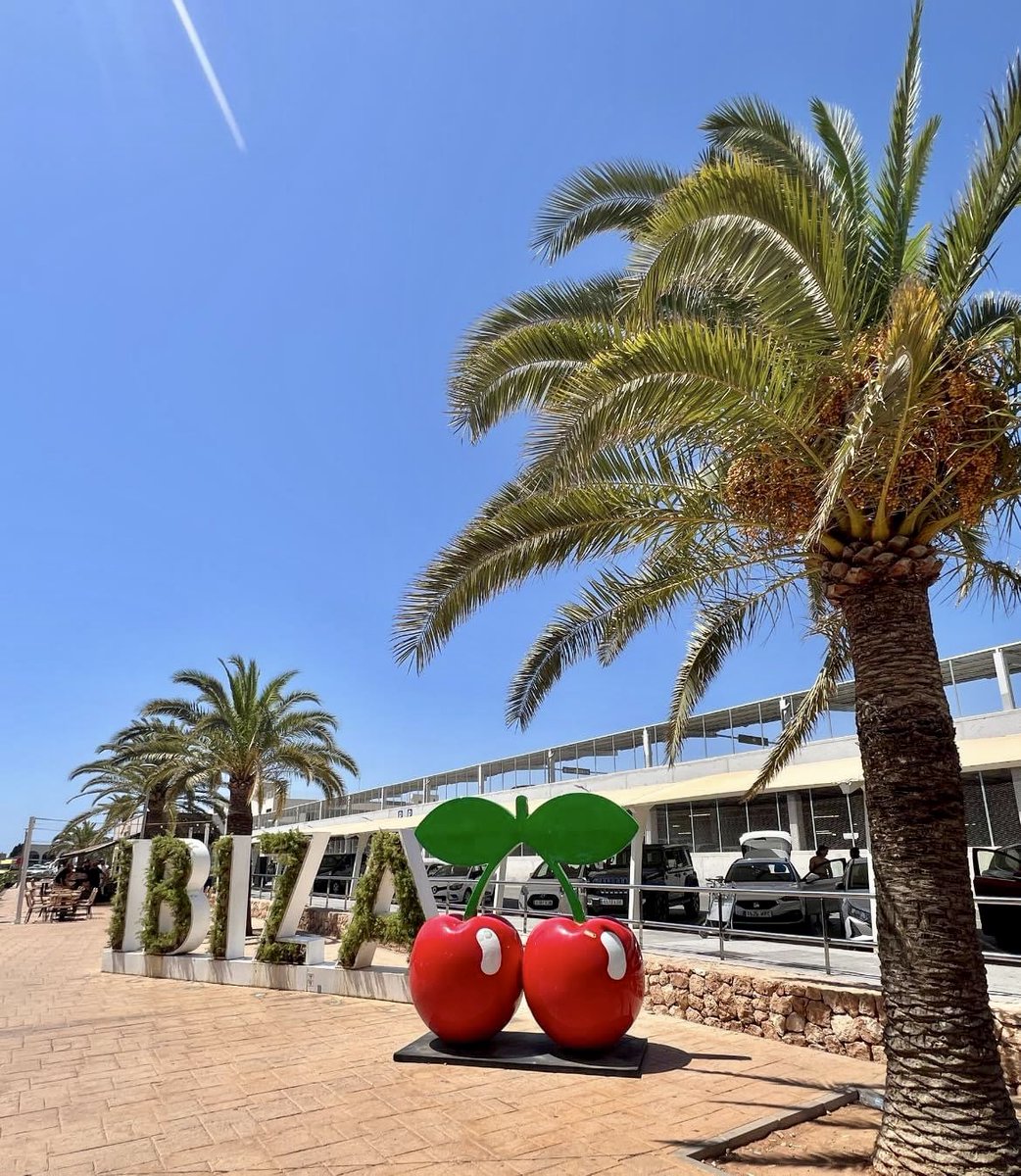 Happy Sunday everyone! 🏝️