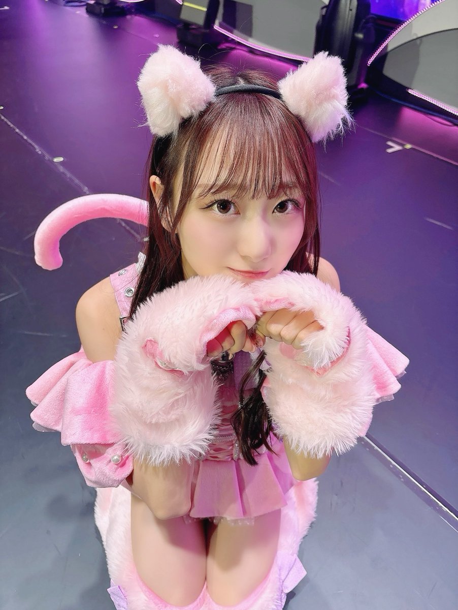 Post by 瀧脇 笙古 on X: にゃん🐈🎀