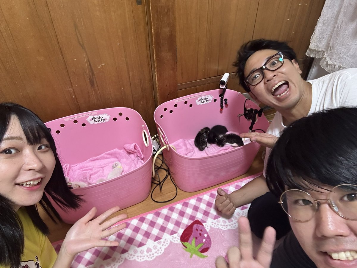 pupumumumu's tweet photo. ごめんなさいの1日遅れ告知です🥲

「嗚呼！！みんなの動物園」

昨日でておりました………！！！
池崎さん中野さんと赤ちゃんネコのミルクボランティアをしました。

���い、可愛い、大変、愛しい、疲労…
色んな瞬きが詰まっています！
TVerで見れますのでよかったらぜひ！
▶️https://t.co/KN0Rwg5GRR https://t.co/Vp5mVSQADJ