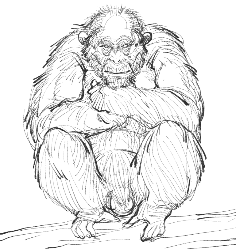 12catttt's tweet photo. Animal sketch https://t.co/kI5tZcUEkz