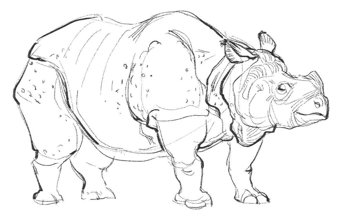 12catttt's tweet photo. Animal sketch https://t.co/kI5tZcUEkz