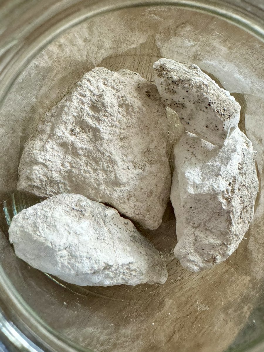 iamkristinesr's tweet image. Wild chalk sourced in the same spot as the buckthorn🍃

Really hard and creamy white. Needed to be chopped coarsely before it was ground. 

#MedievalPalette #foraged #pigments #ColourMaking