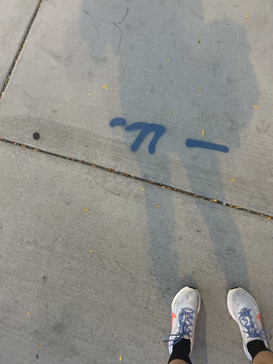 Chicago Nemesis tweet media