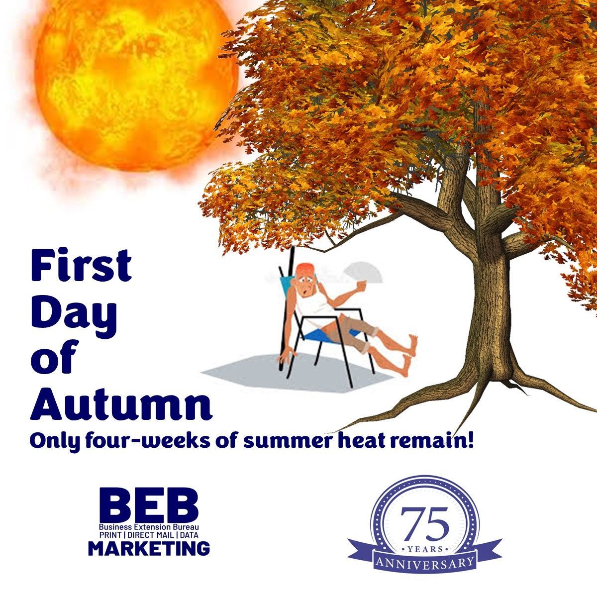 BEB TEXAS tweet media