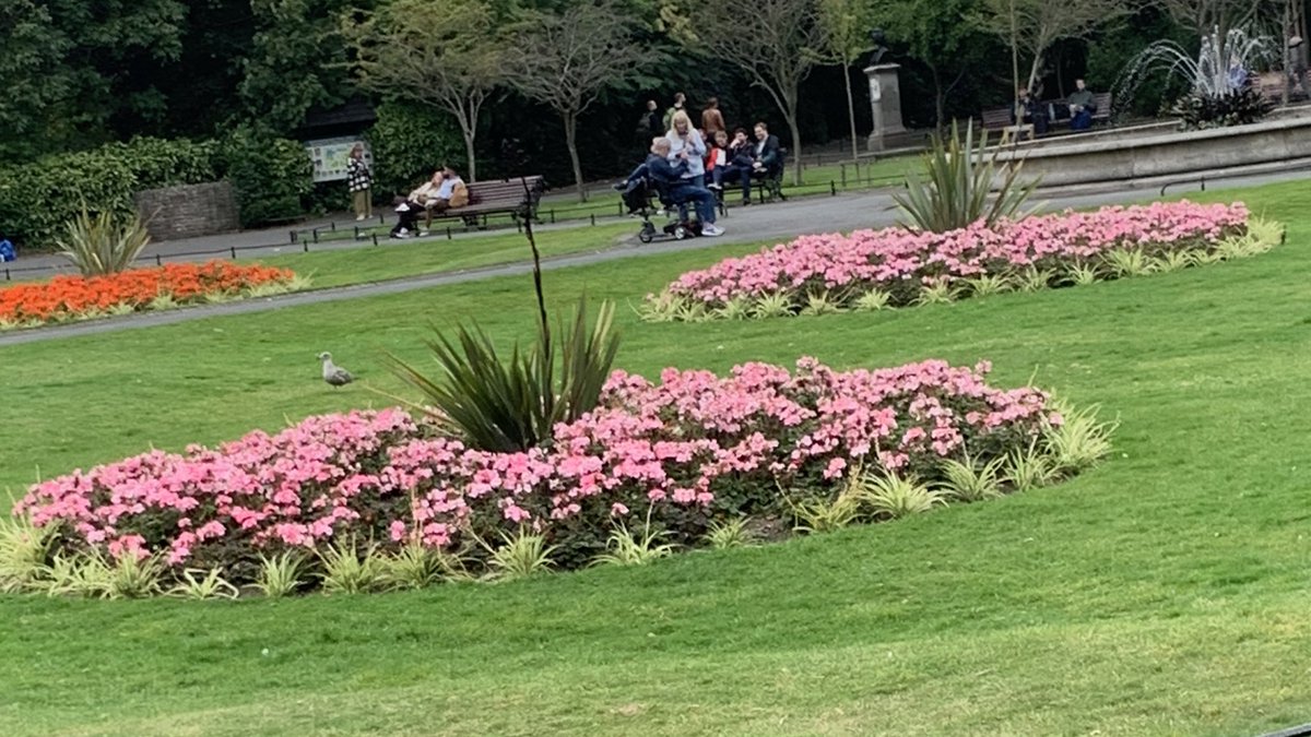 DanMulhall's tweet photo. St. Stephen’s Green is one of my favourite places in Dublin. Full credit to @opwireland for keeping it looking so well all year around. It also has lots of interesting memorials that capture key aspects of Irish history. https://t.co/eaXXcA4oGY