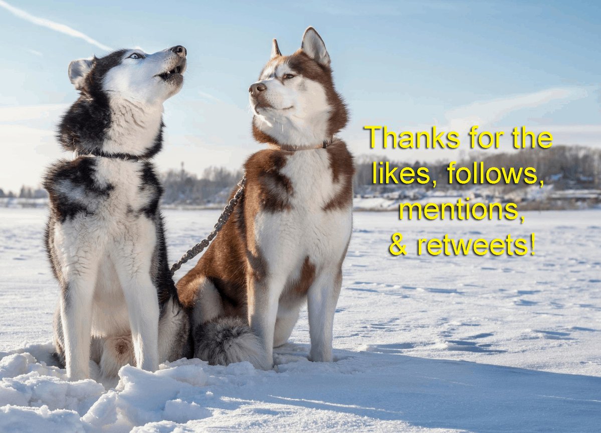 SteveAndApril (@steveandapril1) on Twitter photo Welcome to our new Twitter/X follows: <a href="/C_Sharpe_Co/">C-Sharpe Co, LLC</a> <a href="/Elisabetta61495/">Elisabetta Massone</a> <a href="/homeownerai/">Homeowner ai</a> <a href="/LindaShaw2731/">LINDA SHAW</a> <a href="/PremierBuildPrd/">Premier Building Products, Inc.</a> <a href="/saeed_noum15499/">Dua Saeed</a> <a href="/leadlist_pro/">LeadList.Pro</a> <a href="/NavigateBuildS/">NAVIGATE Building Solutions</a> Welcome to our new Twitter/X follows: <a href="/C_Sharpe_Co/">C-Sharpe Co, LLC</a> <a href="/Elisabetta61495/">Elisabetta Massone</a> <a href="/homeownerai/">Homeowner ai</a> <a href="/LindaShaw2731/">LINDA SHAW</a> <a href="/PremierBuildPrd/">Premier Building Products, Inc.</a> <a href="/saeed_noum15499/">Dua Saeed</a> <a href="/leadlist_pro/">LeadList.Pro</a> <a href="/NavigateBuildS/">NAVIGATE Building Solutions</a>