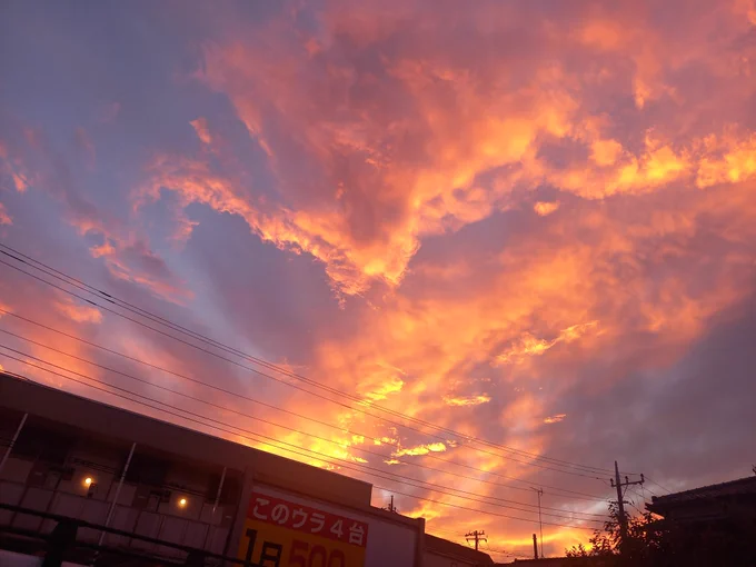 今日の夕焼けしゅごかった。歩いてる人たちが「夕焼け綺麗だね」ってさざめきあってて日本っていいなぁと思いました。 