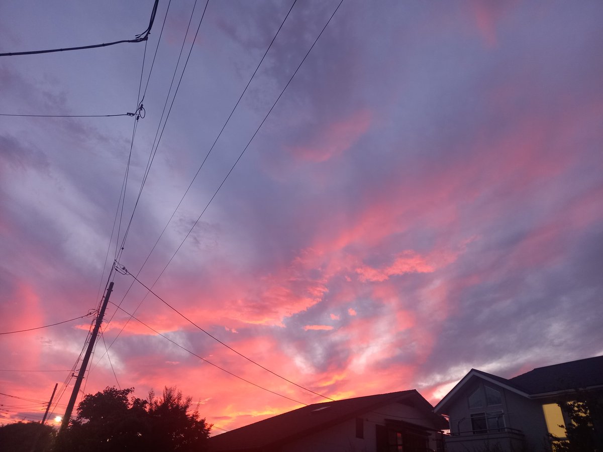 「今日の夕焼けしゅごかった。歩いてる人たちが「夕焼け綺麗だね」ってさざめきあってて」|まいこ　skeb承ります！のイラスト