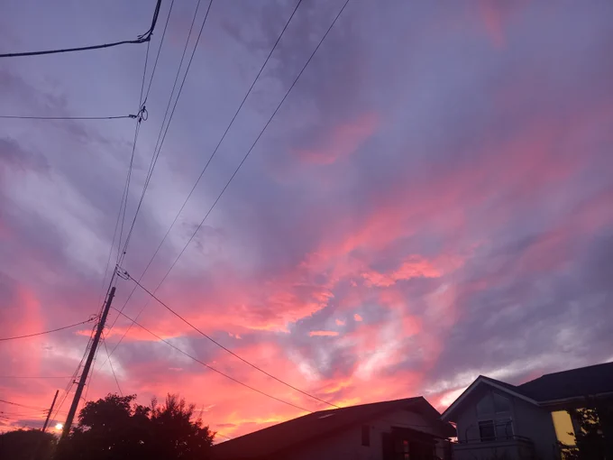 今日の夕焼けしゅごかった。歩いてる人たちが「夕焼け綺麗だね」ってさざめきあってて日本っていいなぁと思いました。 