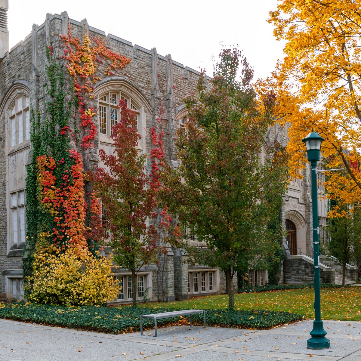 The summer weather has been nice, but we can't wait to see the fall colours across campus again. 🍂🍁

Happy first day of autumn, #WesternU!

📷: Steven Anderson/Western Communications