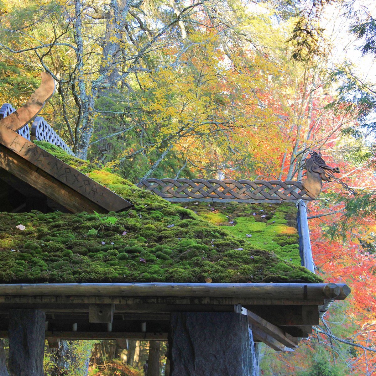 Recover Green Roofs tweet media