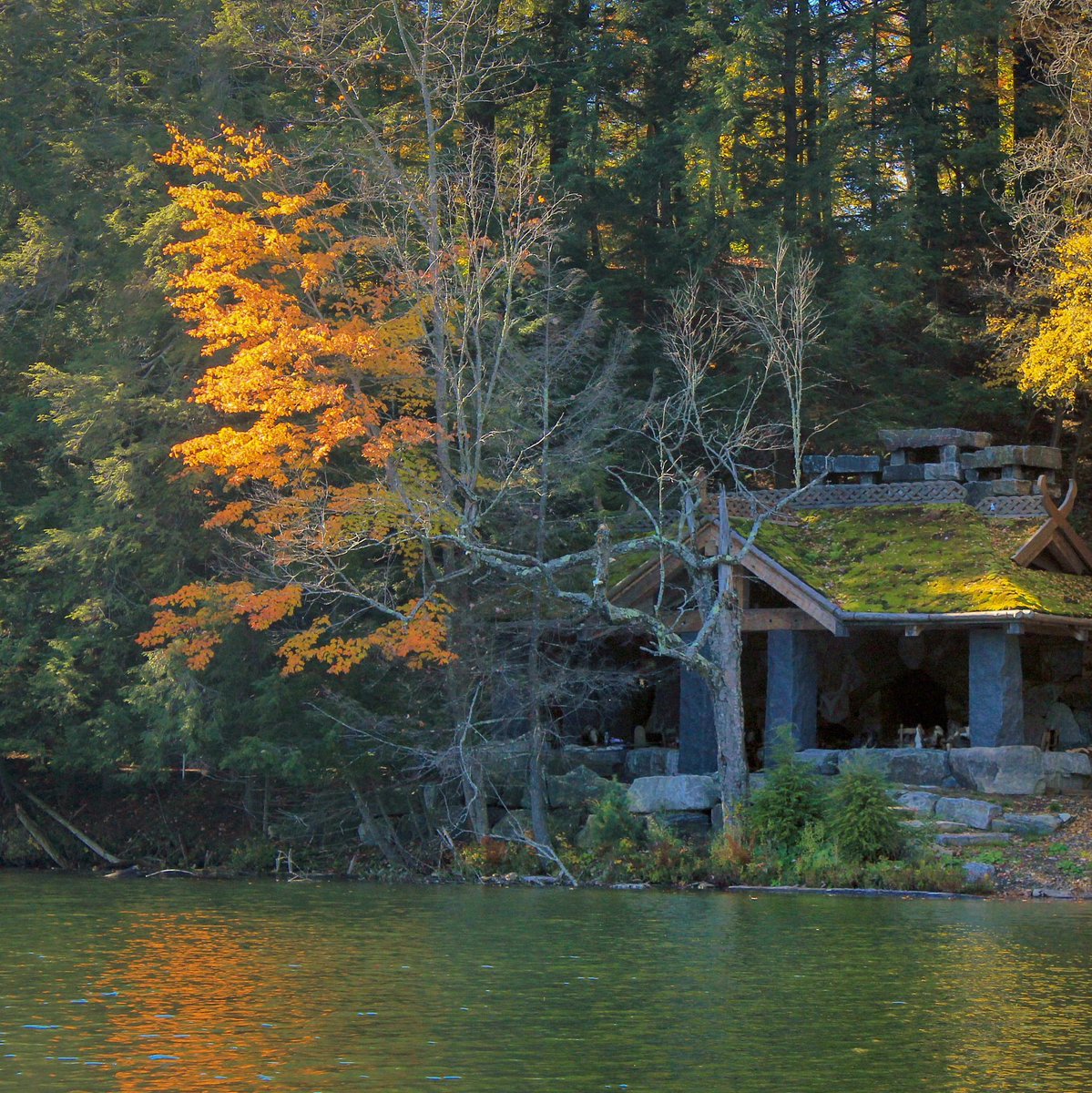 Recover Green Roofs tweet media