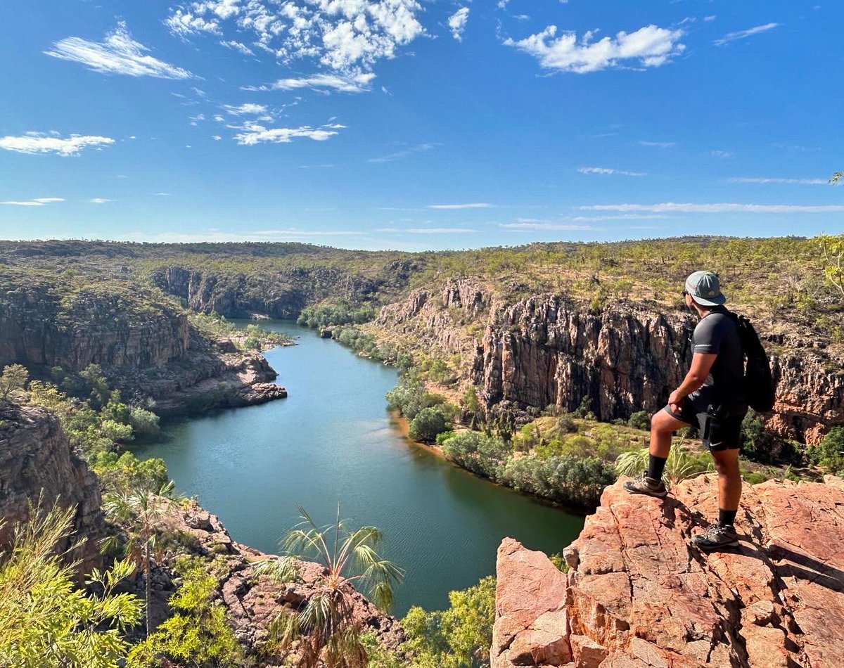 hingo🫡 tweet media