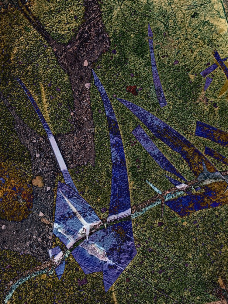 "Thorns"  
—Helen Gwyn Jones (<a href="/helengwynjones/">Helen Gwyn Jones</a>)