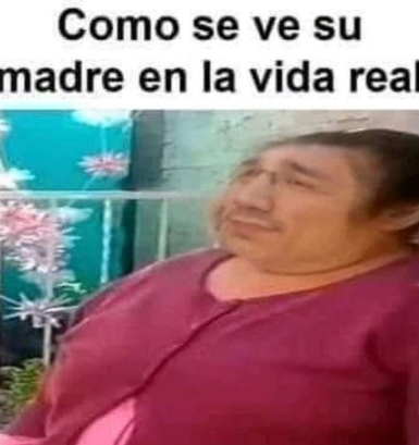 Una hormiga que mira tu post 🐜 tweet media