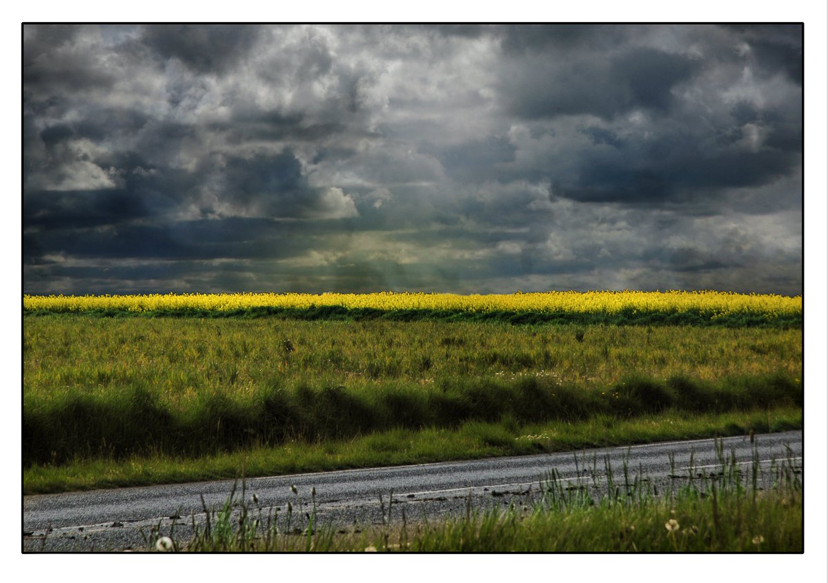 scribes01's tweet photo. #photographie #photographers #fineart #modernart #art #artistic #creative #creativeart #beautifulart #artwork #paysage #landscape #nature #photographize #paysages #champs https://t.co/Gj9OzddfRd