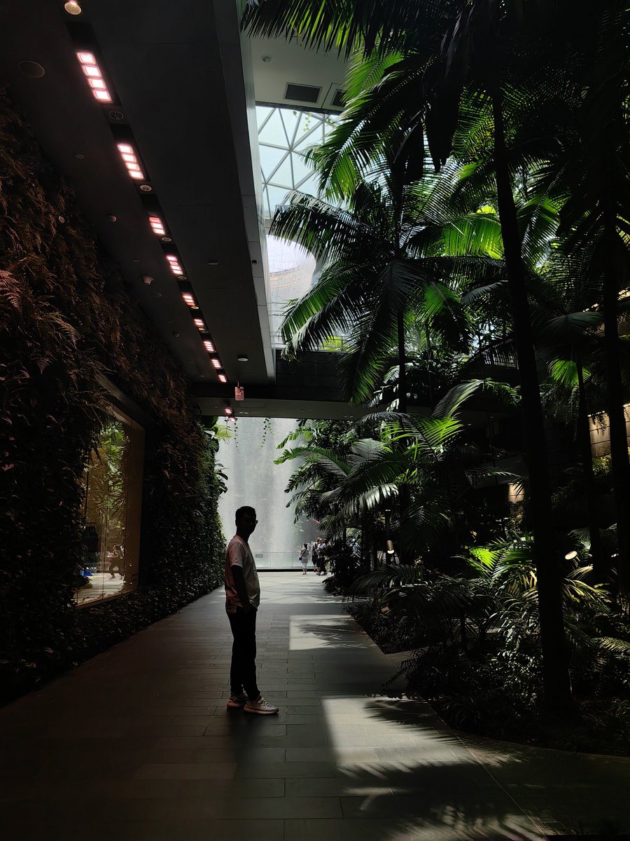 #Token2049singapore  结束，今年明显感受到华人面孔变少了，华人项目方越少，行业话语权也就越小，最后只能做行业的参与者（韭菜）……