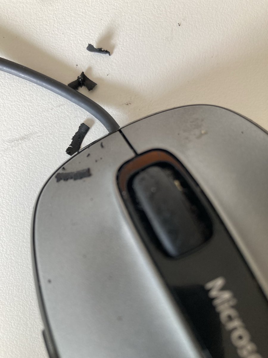 IsaScheuplein's tweet image. Wenn Du so hart arbeitest, dass das Material nachgibt 😝