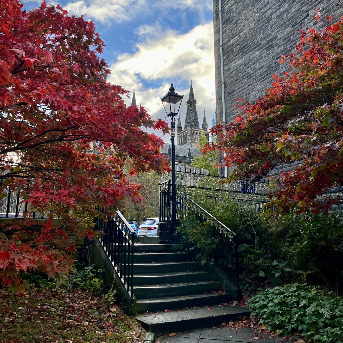 UofGlasgow's tweet photo. Today marks the #AutumnEquinox, signalling the beginning of a beautiful new season! It won't be long until campus looks like this again. 🍂 #TeamUofG https://t.co/cYny6nqRdx