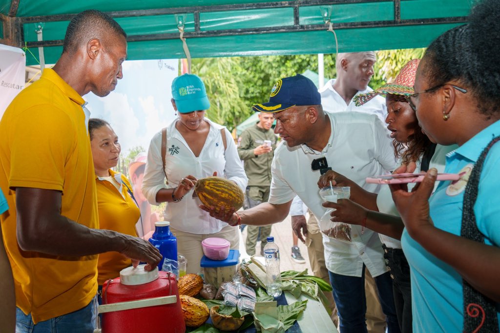 LuisAlfonsoEsc's tweet photo. Crecimos rodeados de historias y tradiciones alrededor del cacao. En el #Chocofest nos reconectamos con nuestras raíces porque Tumaco no solo es nuestra cuna, sino la cuna de uno de los mejores cacaos de #Colombia.
Ser hijos de esta tierra y conocedores del esfuerzo detrás de cada cosecha, nos compromete a apoyar este festival y hacerlo más grande cada año, atrayendo turistas, visitantes e inversionistas que pondrán los más de 8 mil cacaocultores en el mapa del mejor cacao del mundo. 🍫❤️✨