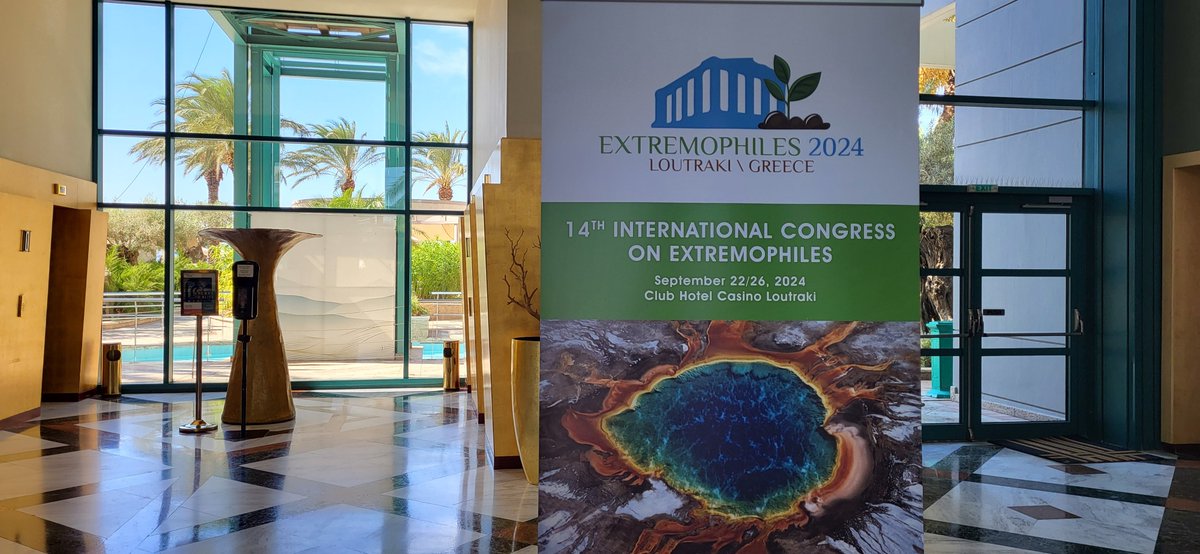 DEEM team Orsay tweet media