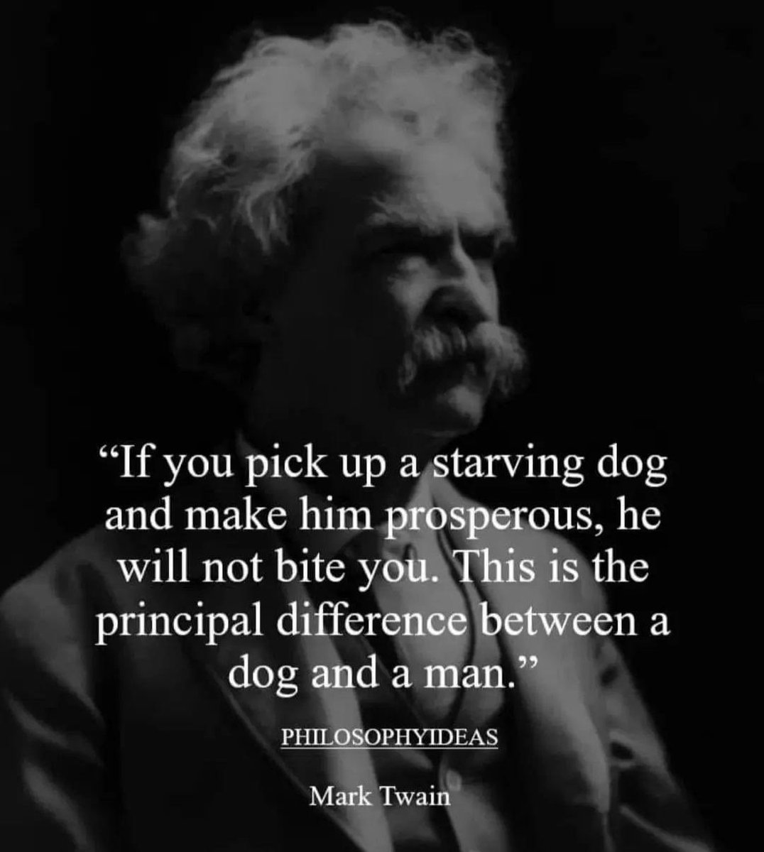 Skinny 6 tweet media