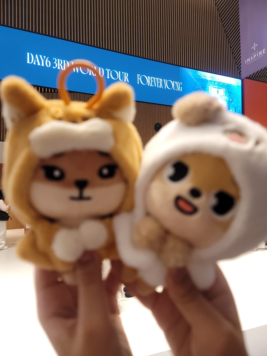 illhadomel's tweet photo. 콘서트재밋엇다 https://t.co/HFf3wuq9PF