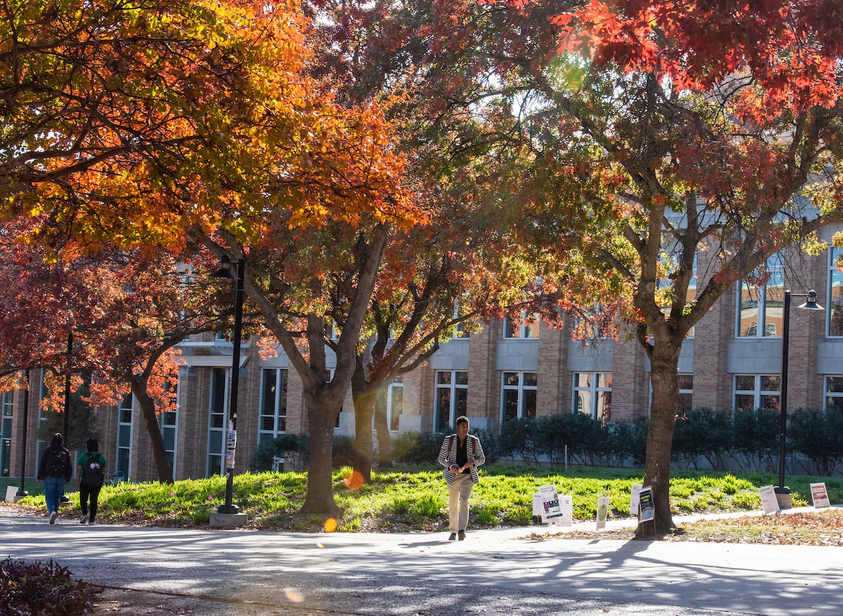 Today is the #FirstDayOfFall and you better be-leaf we’re #MeanGreen ready for the trees to change color! 🍂