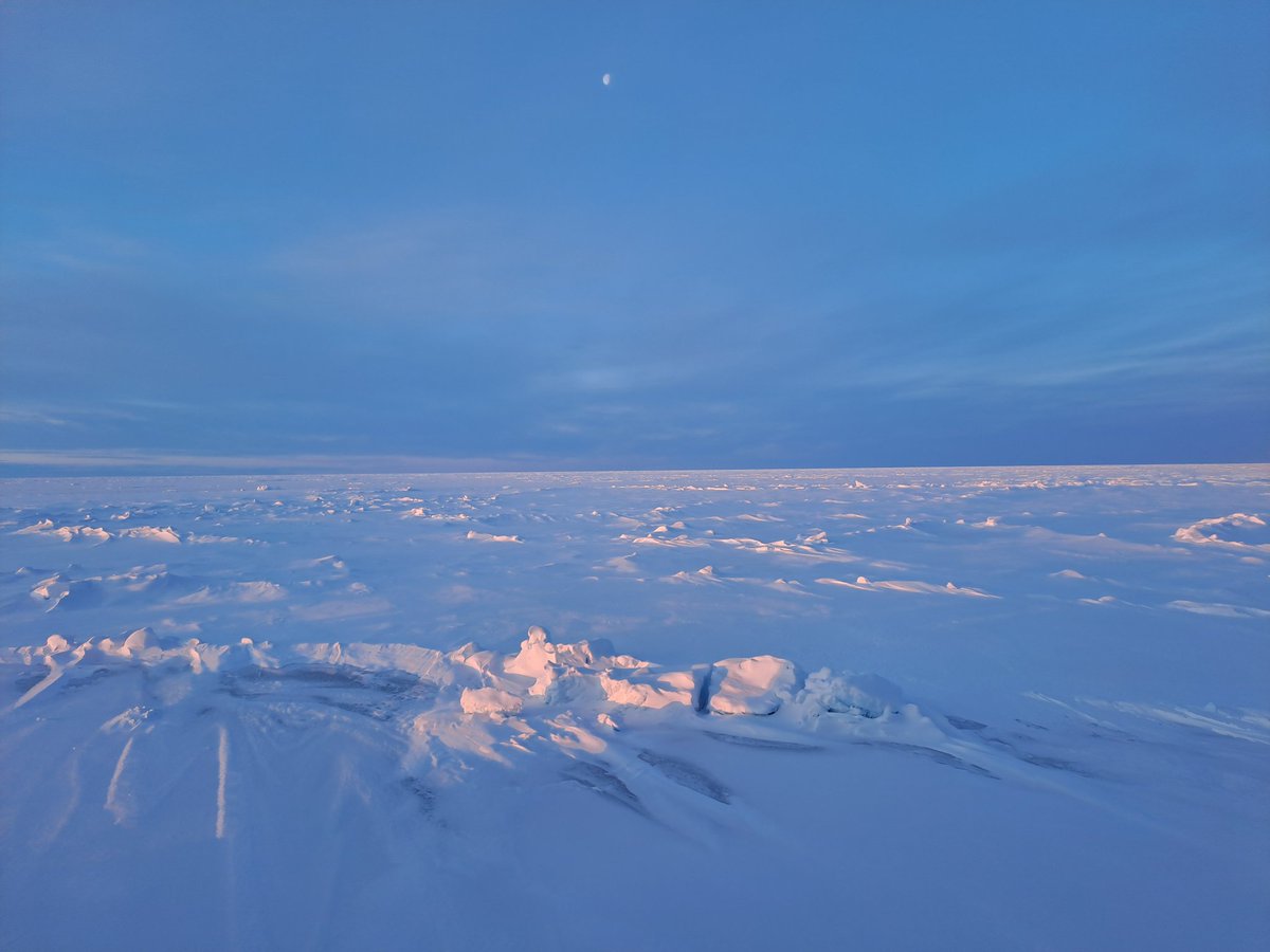 #Lunar landscape, literally (spot the #Moon).
#SeaIce #Arctic #PS144 #MinusALot