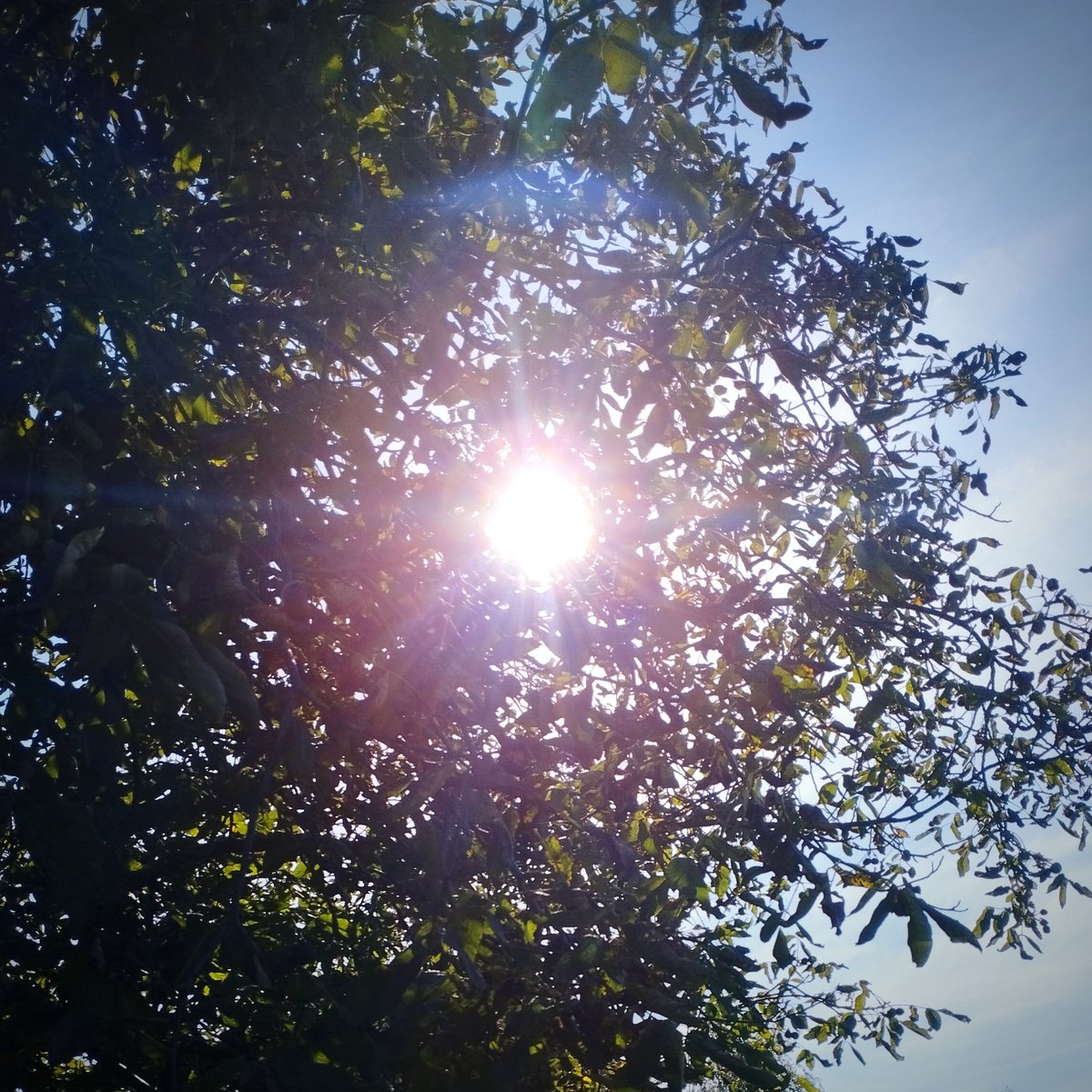 It's autumn equinox today. The dark part of a year begins.