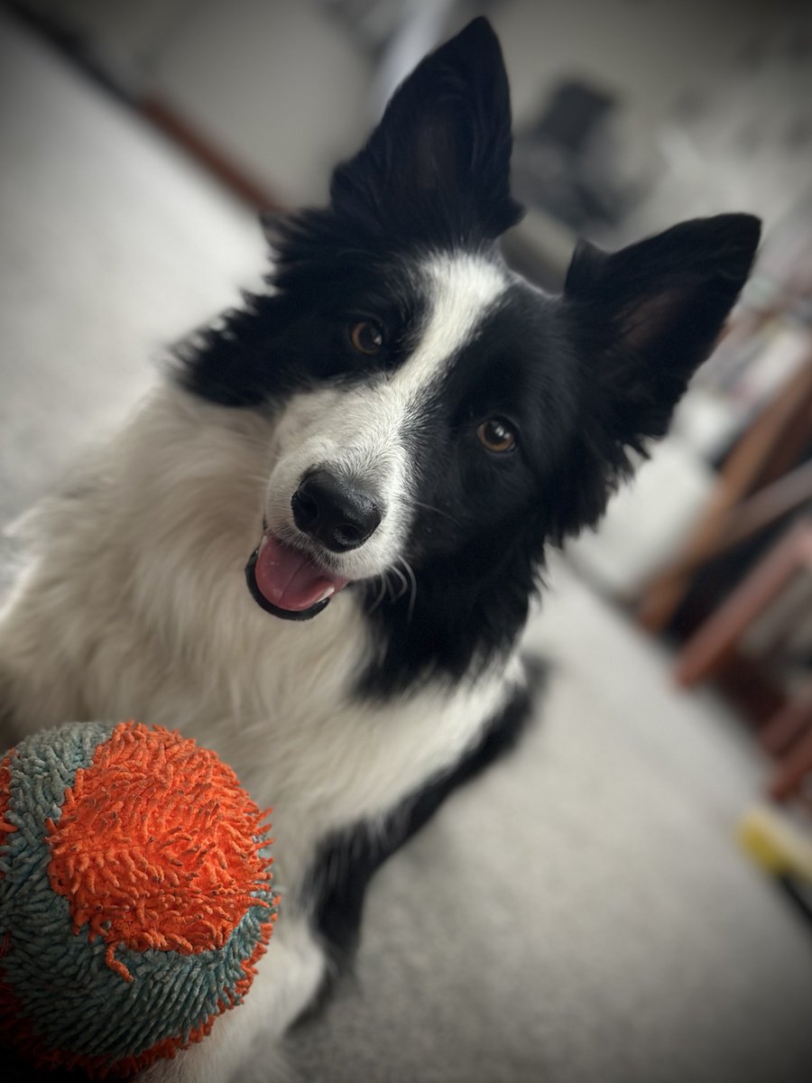 Kevin Mann tweet media