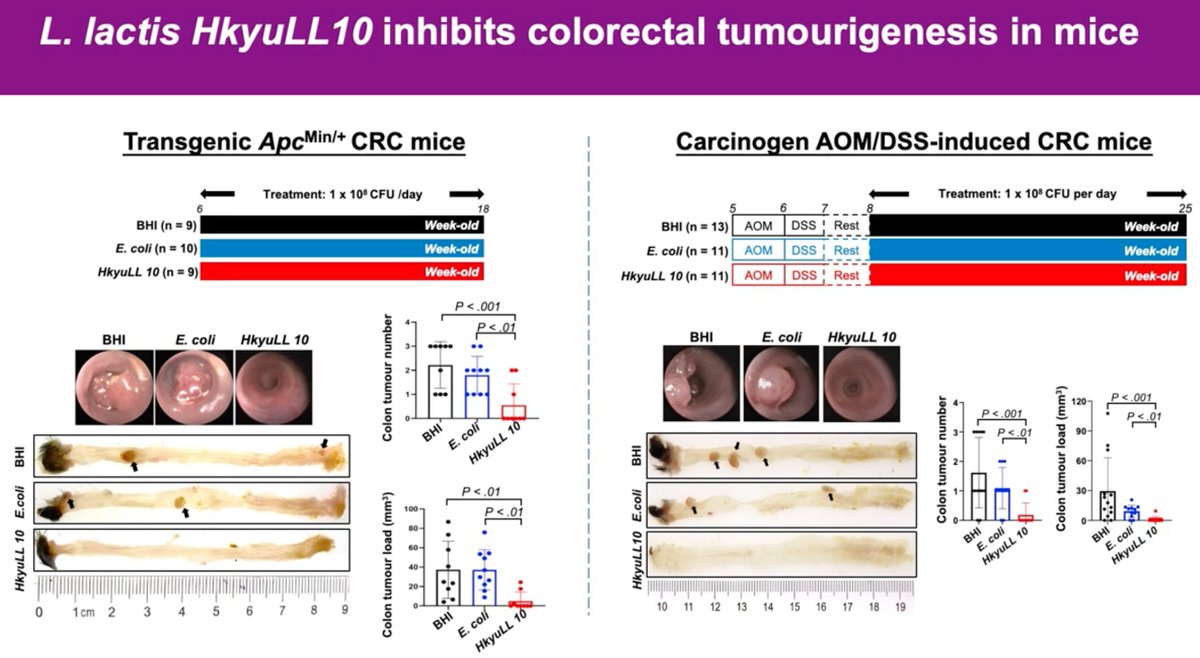 Gut Journal (@gut_bmj) on Twitter photo Great new #GUTVideo by Su et al on
"Lactococcus lactis HkyuLL 10 suppresses colorectal tumourigenesis and restores gut microbiota through its generated alpha-mannosidase" via
bit.ly/3AVAIOA
Paper via: bit.ly/4fRTVRh
<a href="/CUHKofficial/">The Chinese University of Hong Kong - CUHK</a> <a href="/CUHKMedicine/">CUHK Medicine</a> Great new #GUTVideo by Su et al on
"Lactococcus lactis HkyuLL 10 suppresses colorectal tumourigenesis and restores gut microbiota through its generated alpha-mannosidase" via
bit.ly/3AVAIOA
Paper via: bit.ly/4fRTVRh
<a href="/CUHKofficial/">The Chinese University of Hong Kong - CUHK</a> <a href="/CUHKMedicine/">CUHK Medicine</a>